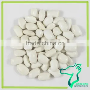 180-200 Square Shape White Kidney Beans Light Color Beans thumbnail-1