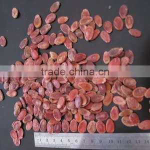 Red Watermelon Seeds10cm, 11cm New Crop thumbnail-1