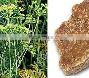 NATURAL ASAFETIDA OIL thumbnail-2