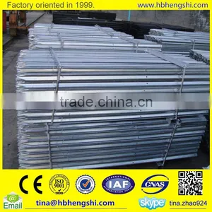 Hot Dipped Galvanized Grassland Post Professional Supplier thumbnail-3