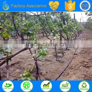 TS Drip Tape Used for Tree Irrigation System thumbnail-1
