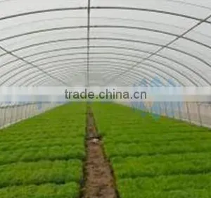 Wind Tunnel Growing Warm House thumbnail-1