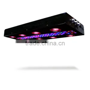 Indoor Use Noah 1200W LED Grow Light With 5 Watt And 90 Watt Chips thumbnail-1