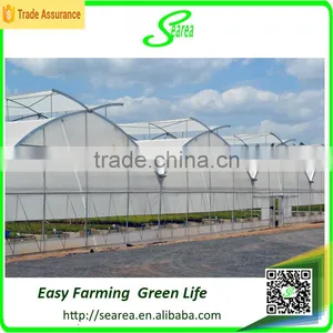 Farm Poultry Greenhouse Equipment for Sale thumbnail-1