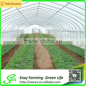 Used Galanized Steel Pipe Greenhouse for Sale thumbnail-4
