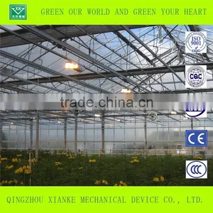 Multi-Span Commercial Agricultural Greenhouse Sales thumbnail-4