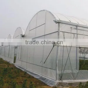 Plastic Film Covered Greenhouse For Mushroom&Roses thumbnail-1