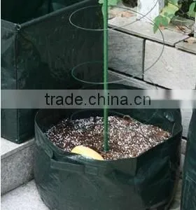 Bean Planters thumbnail-1