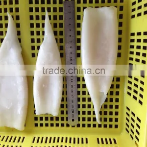 High Quality U5, U7,U10 Frozen Squid Tube thumbnail-6