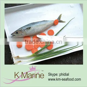 Frozen Horse Mackerel in Good Price thumbnail-1