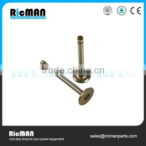 Hangzhou Ricman Top Diesel Engine Spare Parts- Valve Materials Fits 186F L100 Diesel Generator Engine Parts thumbnail-1