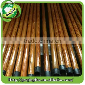 Eucalyptus Broomstick thumbnail-4