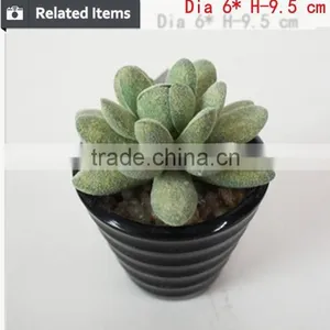Mini Artificial Succulent Plants in Glass Bowl Potted Mini Succulents thumbnail-4