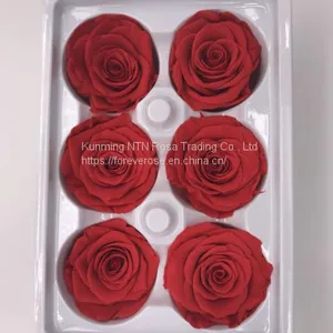 Preserved Flowers Wedding Bridal Bouquets Natural Eternal Roses thumbnail-5