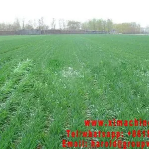 Wheat Seeder thumbnail-5