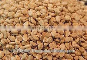 PREMIUM QUALITY INDIAN SESAME SEEDS thumbnail-4