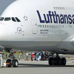 Air Freight - Air Cargo Direct Flights From Chengdu to Ethiopia, Transfers to Rome, Milan, Paris, Oslo, Stockholm, Etc thumbnail-1
