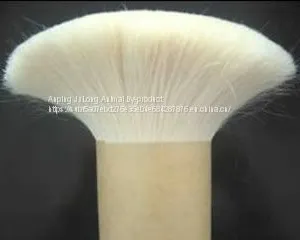 MakeUp Brush Goat Hair thumbnail-2