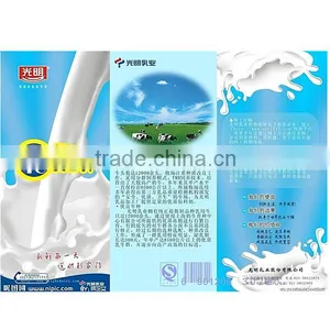 Flyer Pamphlet Leaflet Brochure Printing Service in China (mainland) thumbnail-1