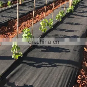 China Factory Manufacture Biodegradable Ground Cover Grass Grow Mat thumbnail-2