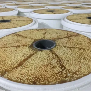 UltraFlo PVDF Membrane: The Pinnacle of Filtration Excellence Product thumbnail-3