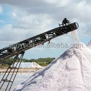 Lake Salt Processing Line Crude Salt Washing and Crushing Production Line thumbnail-4