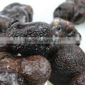 Sell Frozen Black Truffle Mushroom Export Price thumbnail-3
