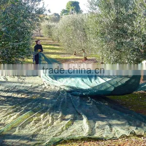Agriculture Plastic Olive Net / Fruit Harvest Nets thumbnail-2