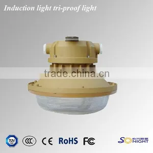 40w 50w 60w Induction Tri-proof Lights thumbnail-1