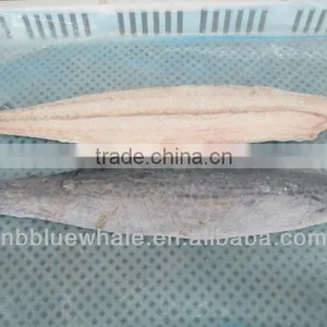 Frozen IQF Spanish Mackerel Fillet IQF Scomberomorus Niphonius King Fish Fillet thumbnail-1