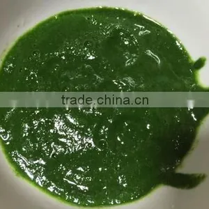 Commercial Spinach/Potato/Garlic/Ginger/Pumpkin Paste Making Machine thumbnail-5