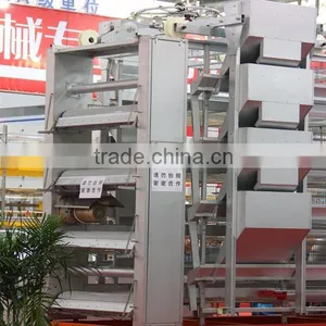 Hot-dipping Cage for Growing Broiler /chicken Broiler Cages thumbnail-1