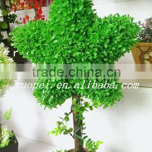 High Emultion Green Decorative Artificial Star Shaped Potted Bosai thumbnail-1