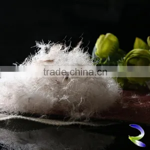 China Supplier Hot Sale Buy Duck Down thumbnail-1