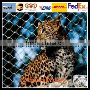 Chain Wire Fencing thumbnail-2