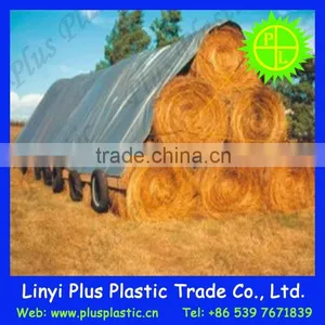 PE/PP Tarpaulin,boat Cover Tarpaulin thumbnail-4