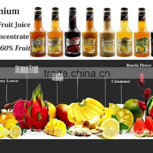 Dragon Fruit Juice Drink Concentrate thumbnail-4