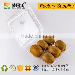 Clear Plastic Blister Kiwi Packaging Box 6 Holes With Clear Lid thumbnail-4