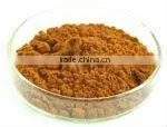 Black Tea Theaflavins thumbnail-1