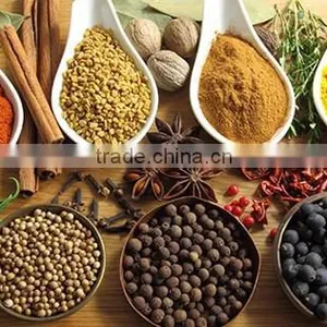 Viet Nam Star Aniseed thumbnail-1