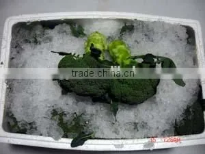 Green Broccoli From China Frozen Broccoli for Sale thumbnail-4