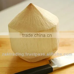 Green Young Coconut thumbnail-1