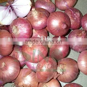 2015 New Crop Red Onion 10kg Bag thumbnail-1