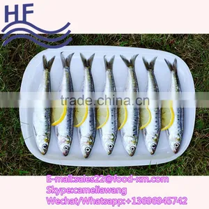 China Factory Direct Price Cheap Frozen Sardine Fish thumbnail-1