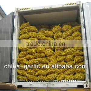 New Season!!! China Fresh Ginger for Sales thumbnail-1