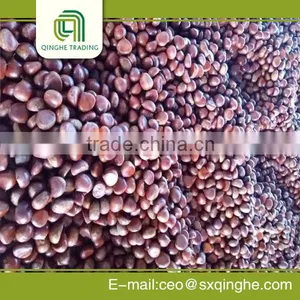 2015 New Crop Fresh Chestnut Inshell thumbnail-4
