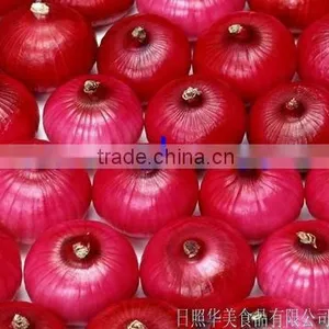 Fresh Red Onion thumbnail-1