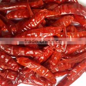 Exporters of Sanam Chilli/S 4 Chilli/S 334 Chilli thumbnail-4