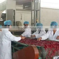 Chinese Dried Whole Jinta Chili in Low Hot Degree thumbnail-4