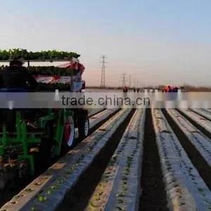 Chinese Hand Push Electrical Vegetable Seeder thumbnail-6